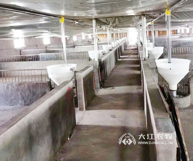 母猪半自动下料器怎么安装？附安装图片