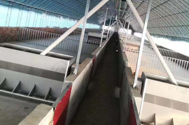 母猪料槽是什么样的