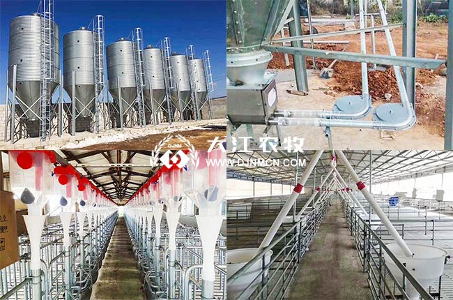 自动上料系统与干湿喂料器一块使用现场